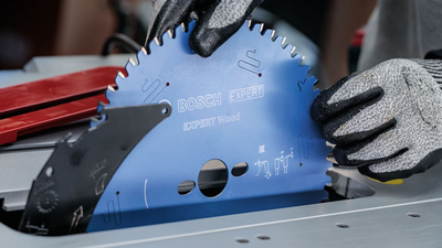 CIRKELSÅGKLINGA BOSCH EXP WOOD 54T 254X2,6X30MM