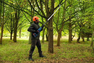 Pitkävartiset akkuoksasakset Bosch PRO GGP18V-45EP Solo