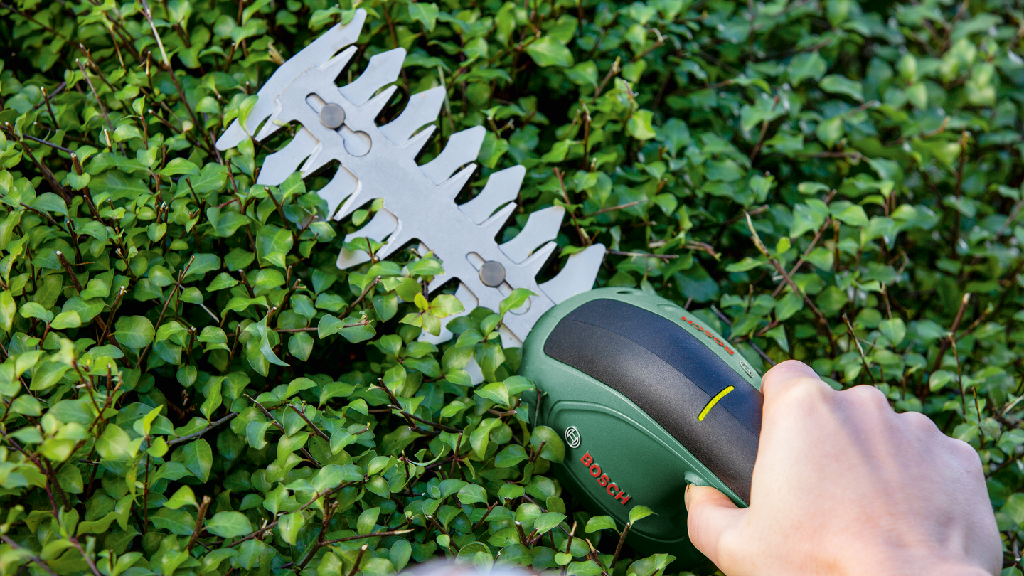 GRÄS&HÄCKSAX BOSCH EASYSHEAR USB 3,6V