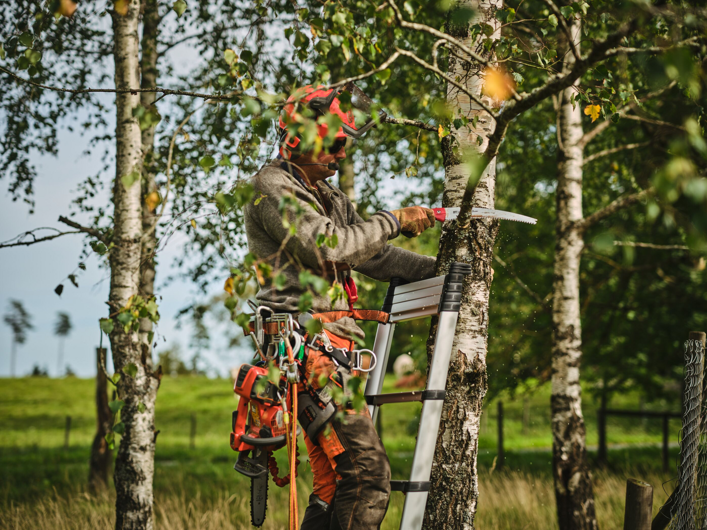 Produktbilde 21