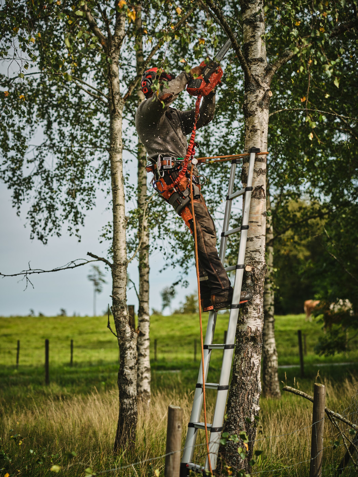 Produktbilde 29