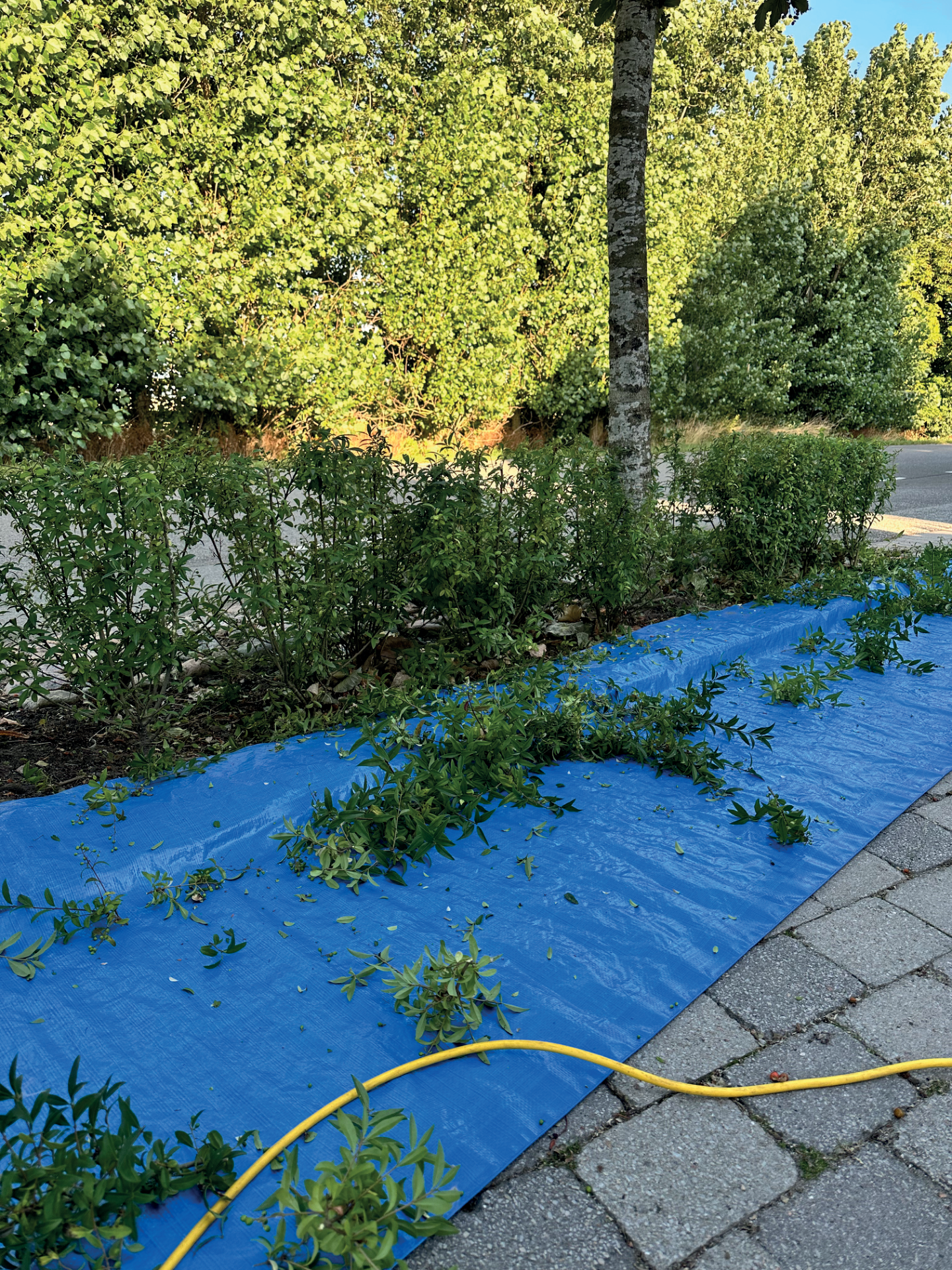 PRESENNINGSRULLE 25X1M 100GR