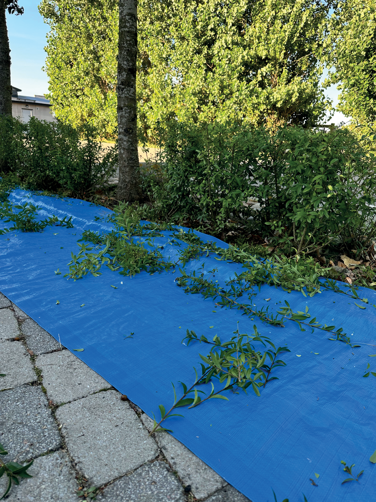 PRESENNINGSRULLE 25X1M 100GR