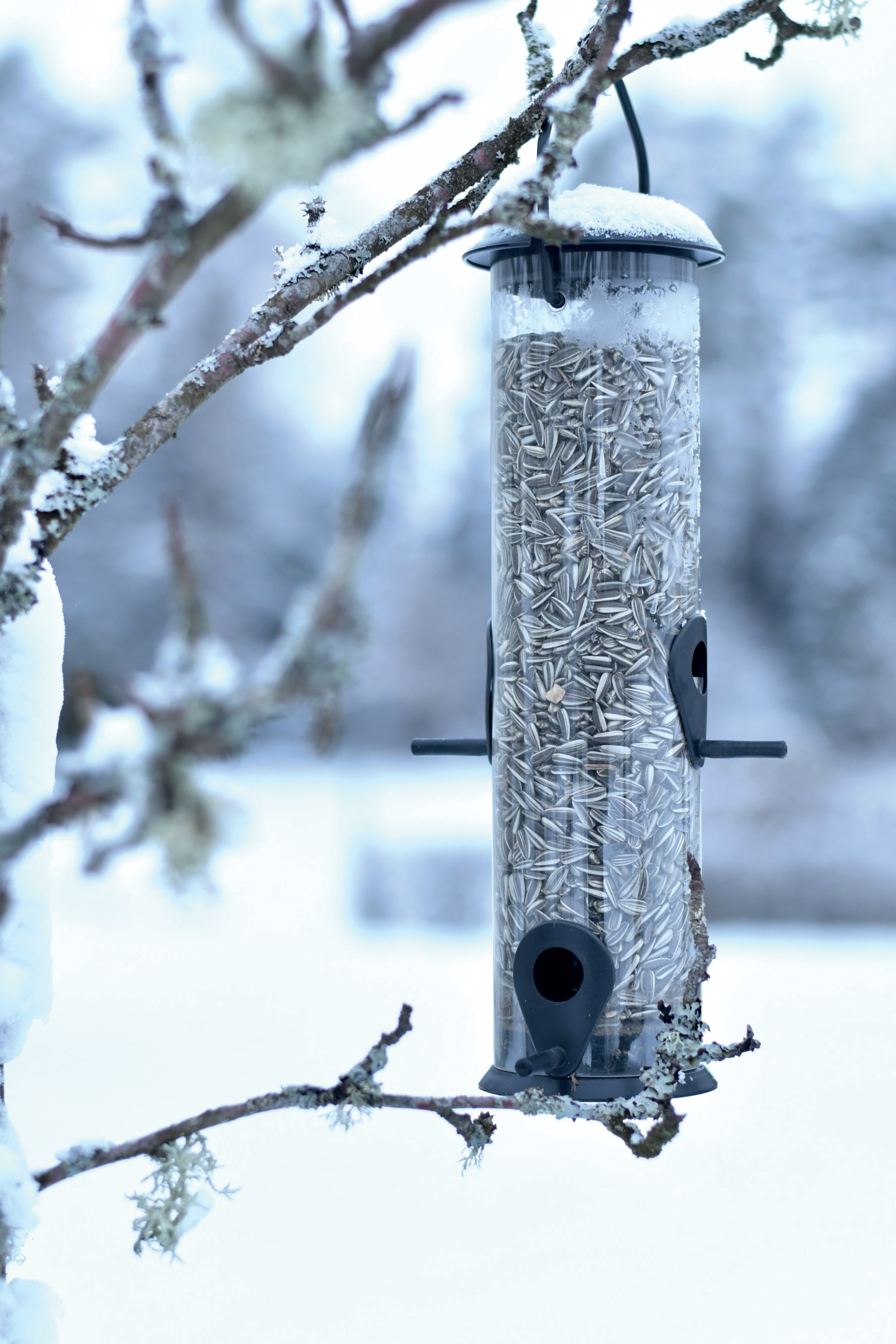 FÅGELMATARE NYBY RÖR SVART 30CM