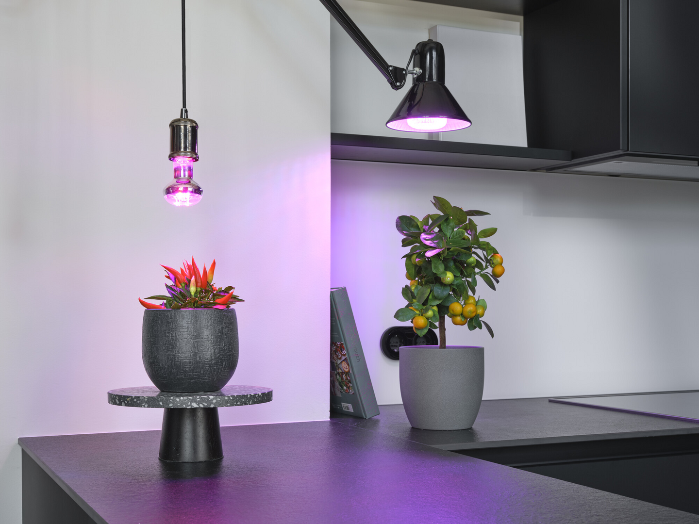 LED-kasvilamppu OSRAM Star Grow T80 20W 650lm E27