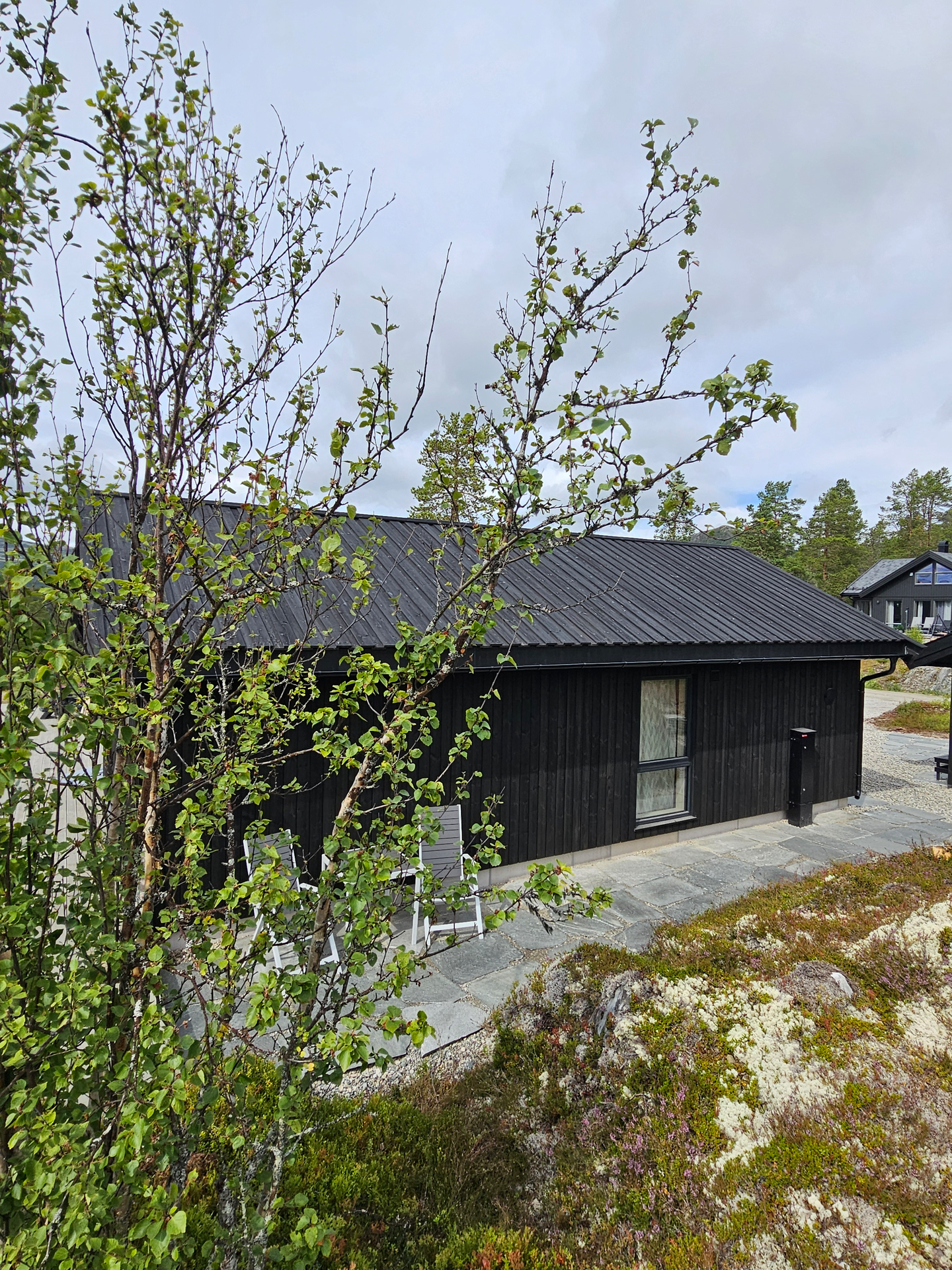 FURU 19X148 DF RETT 10 ROYAL SVART