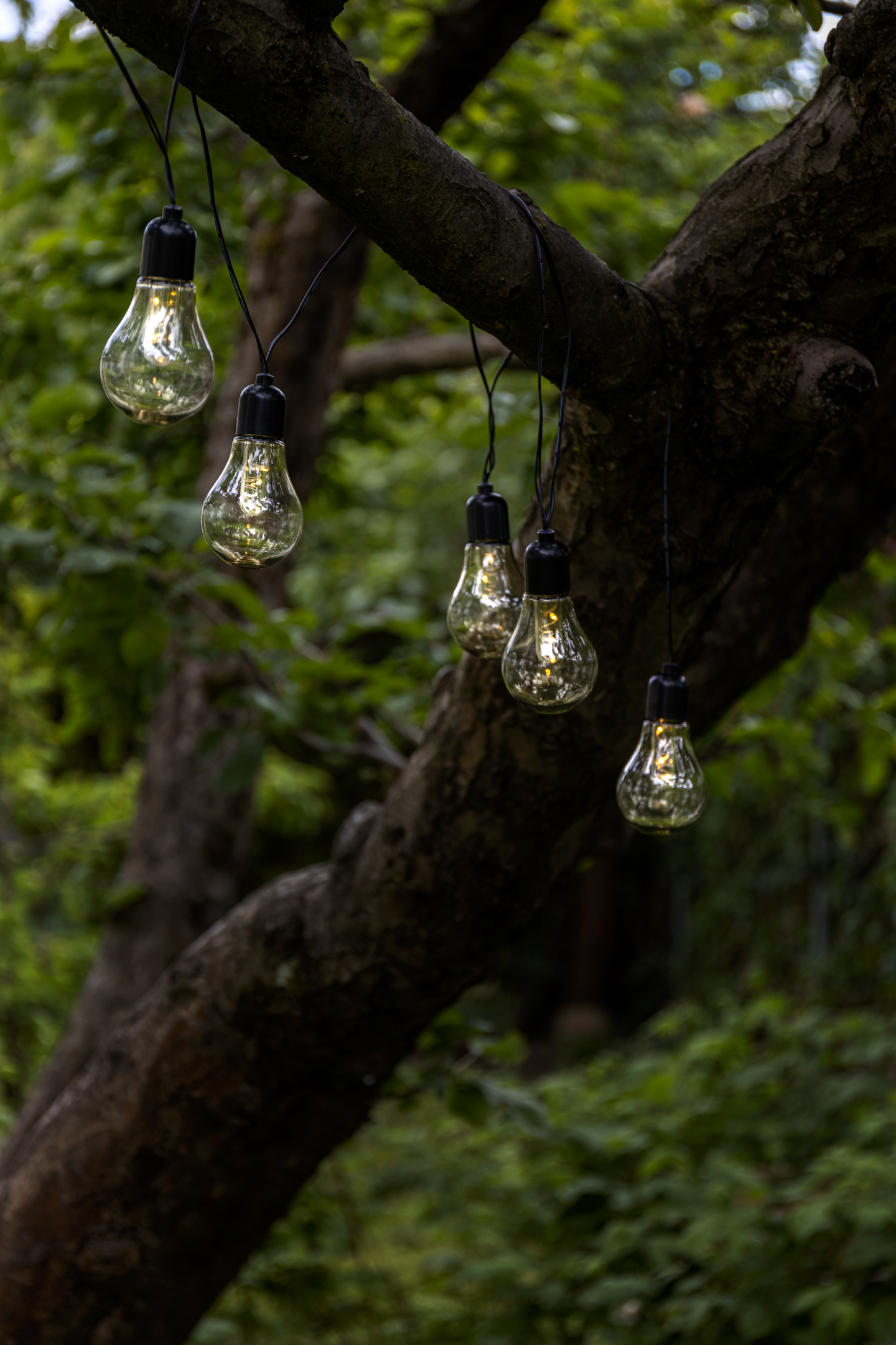 Ulkovalosarja EGLO Libisa musta/kirkas 405cm 10x0,06W IP44