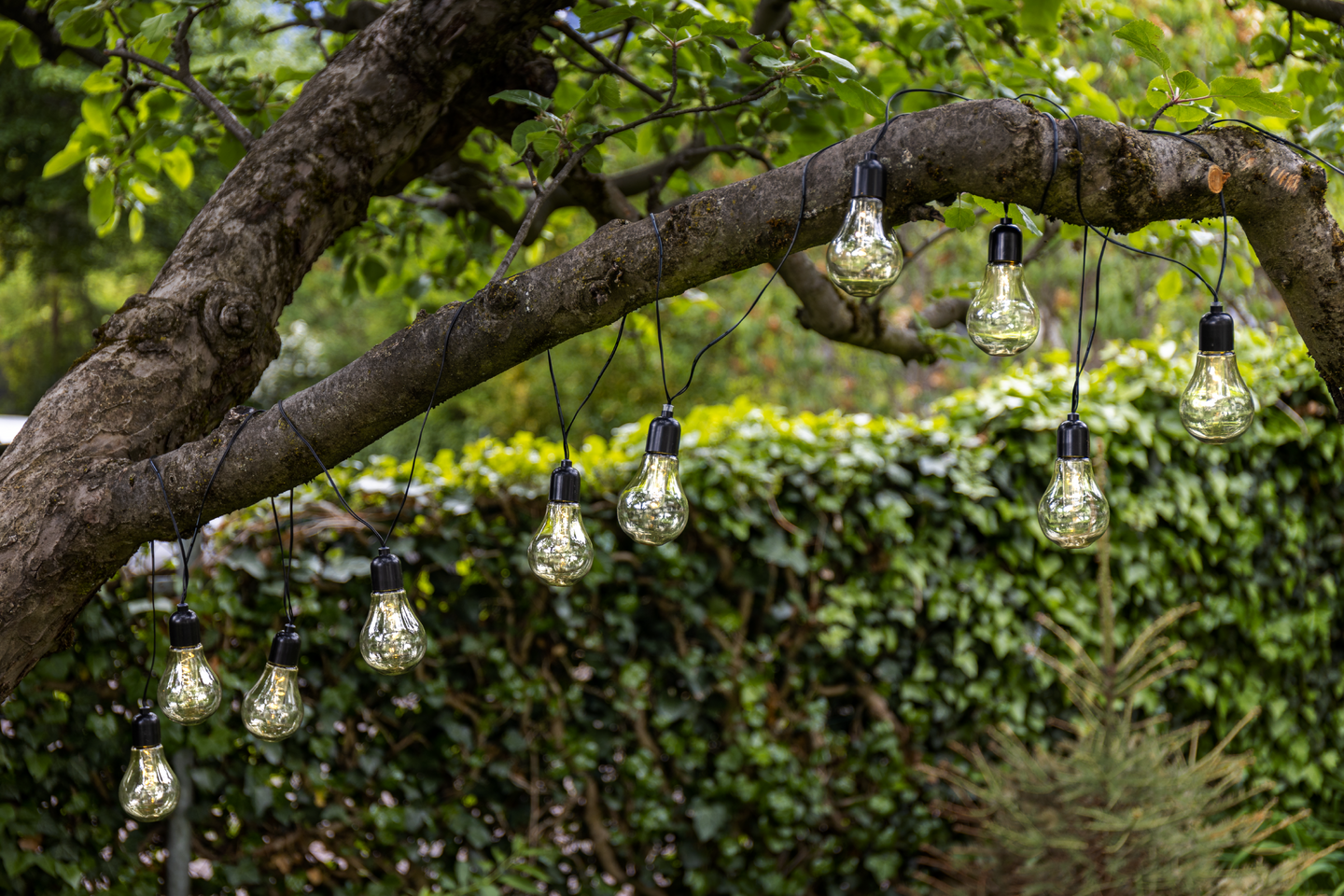 Ulkovalosarja EGLO Libisa musta/kirkas 405cm 10x0,06W IP44