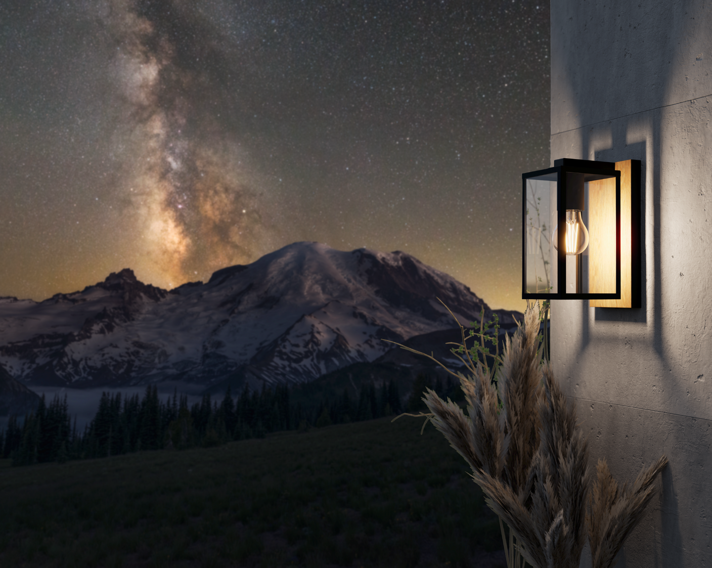 Ulkoseinävalaisin EGLO Budrone puu/kirkas 40W E27 IP44