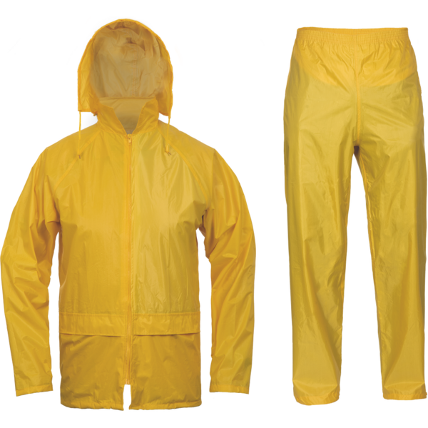 Sadeasusetti Cerva carina keltainen