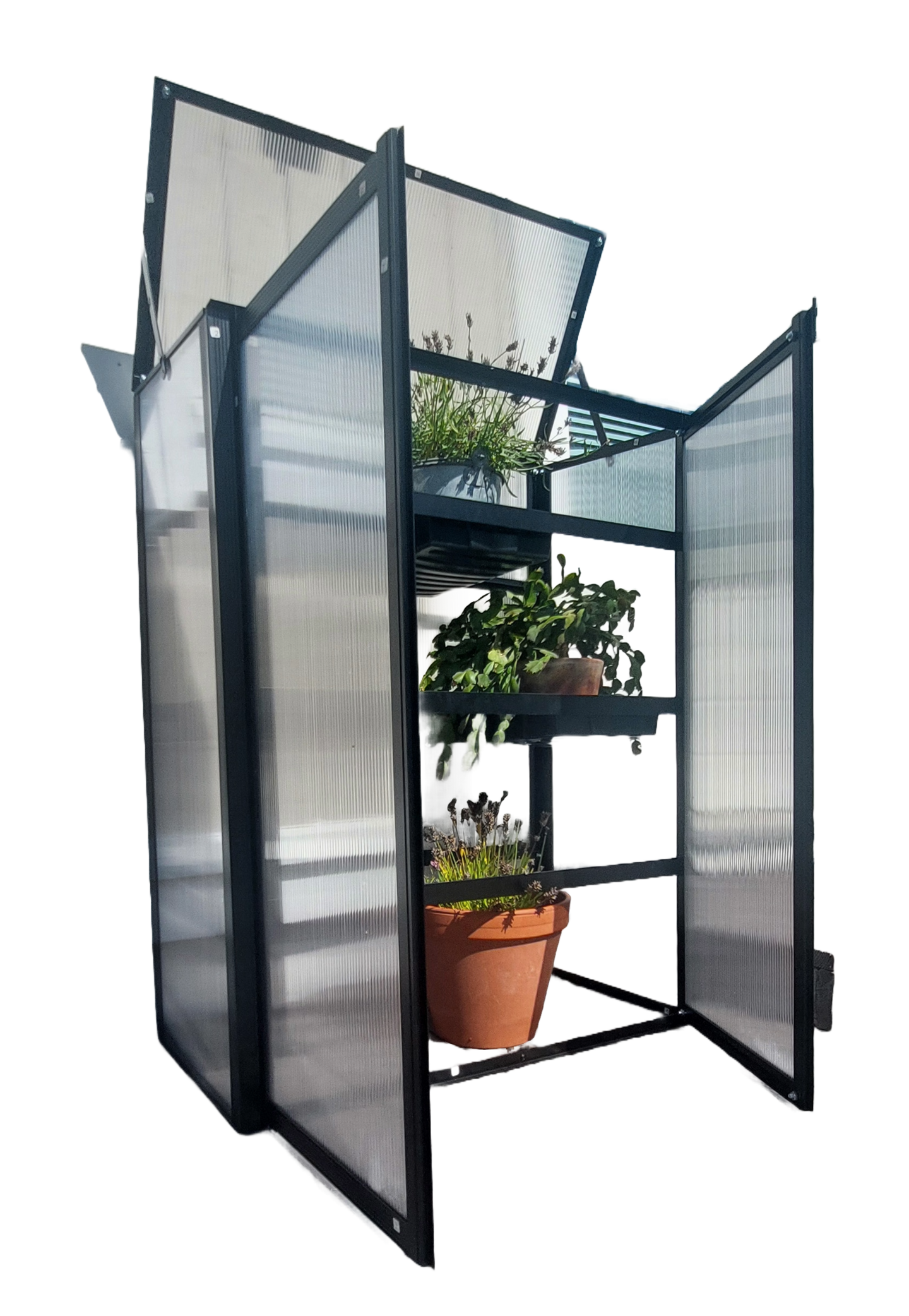 Parvekekasvihuone Goodiy musta