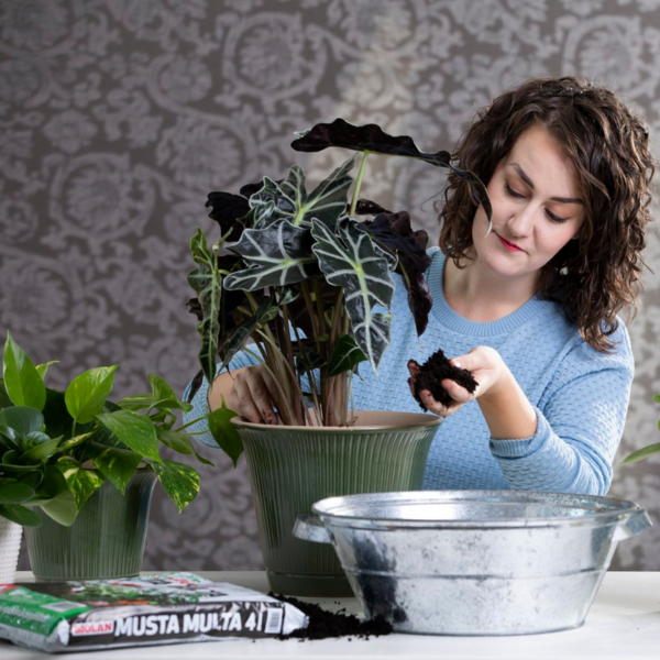 Kukkamulta Biolan musta multa 24l
