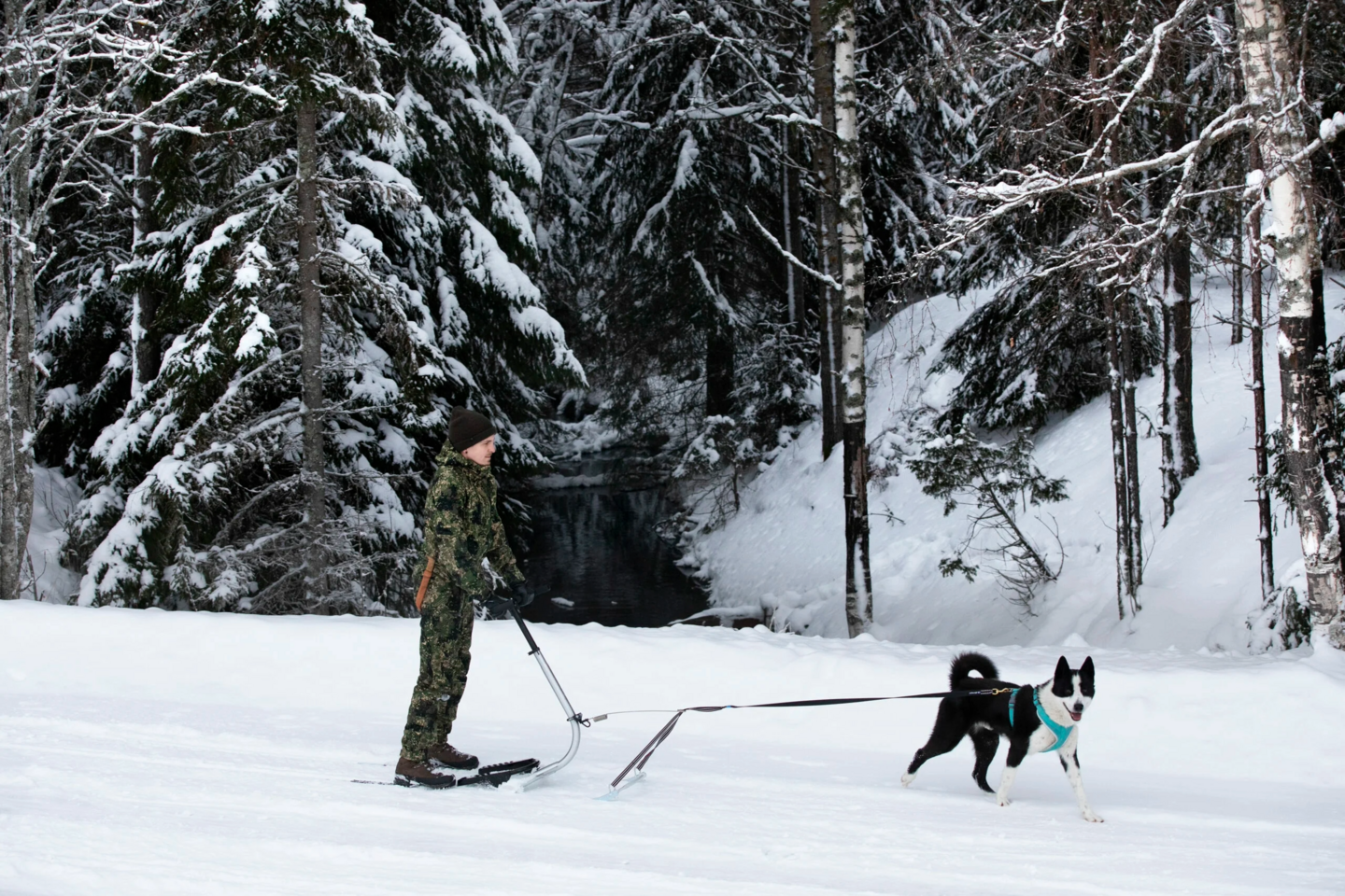 Koiravetoadapteri ESLA race