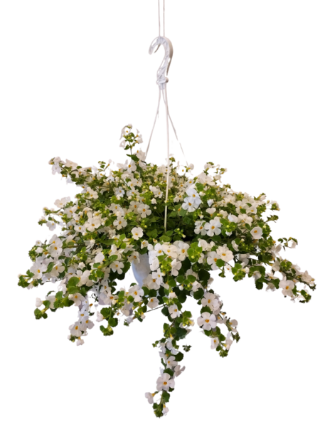 Lumihiutaleamppeli 23cm mix