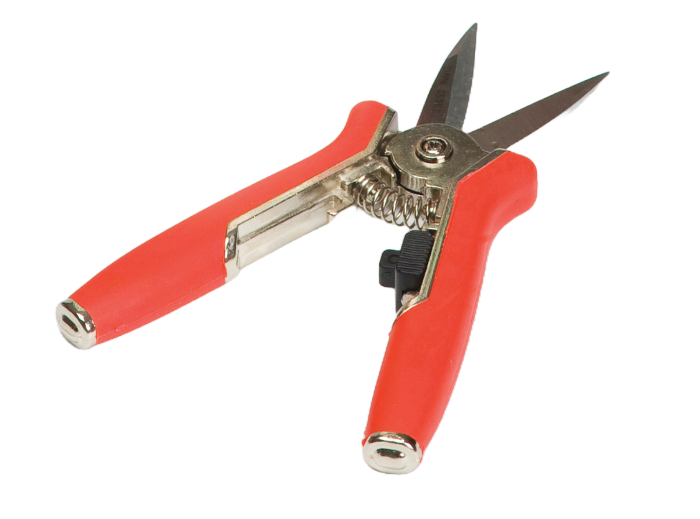 Kukkasakset Nelson Garden Plant Start