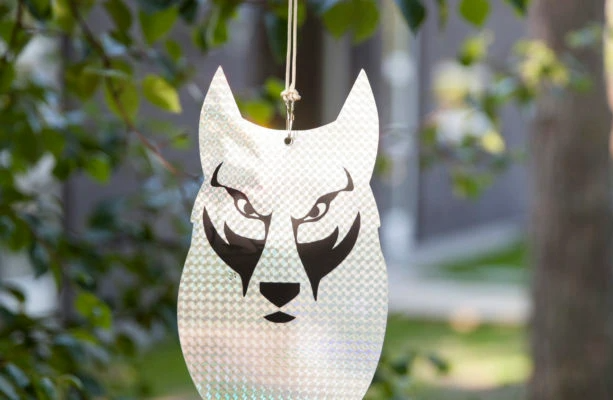 Metsäkauriskarkotin susi Reflex 2-pack