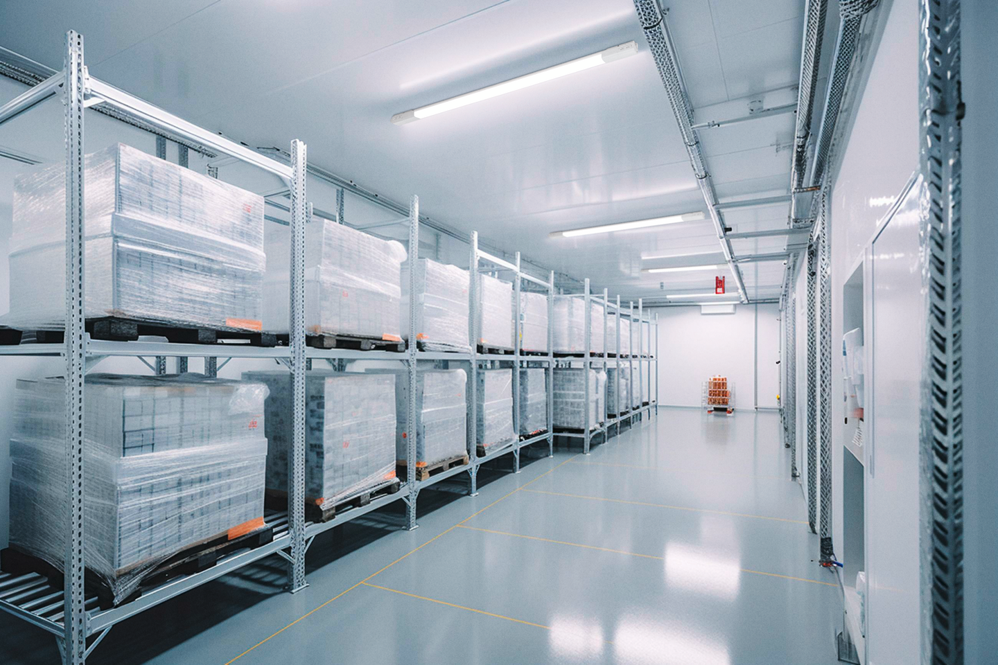 Yleisvalaisin EGLO EXPERT Slim 45W led 1495x56mm valkoinen