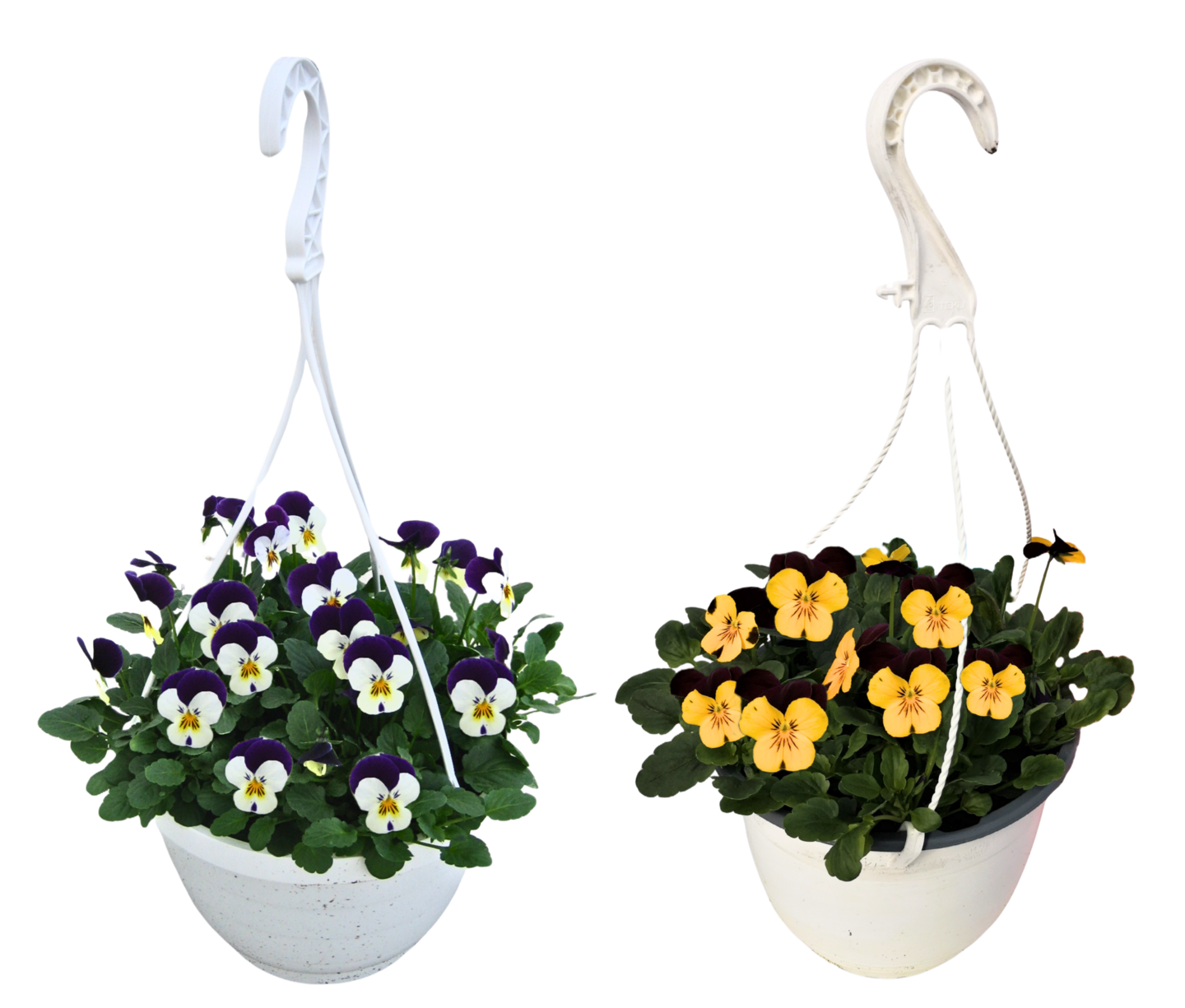 Orvokki amppeli 19cm mix