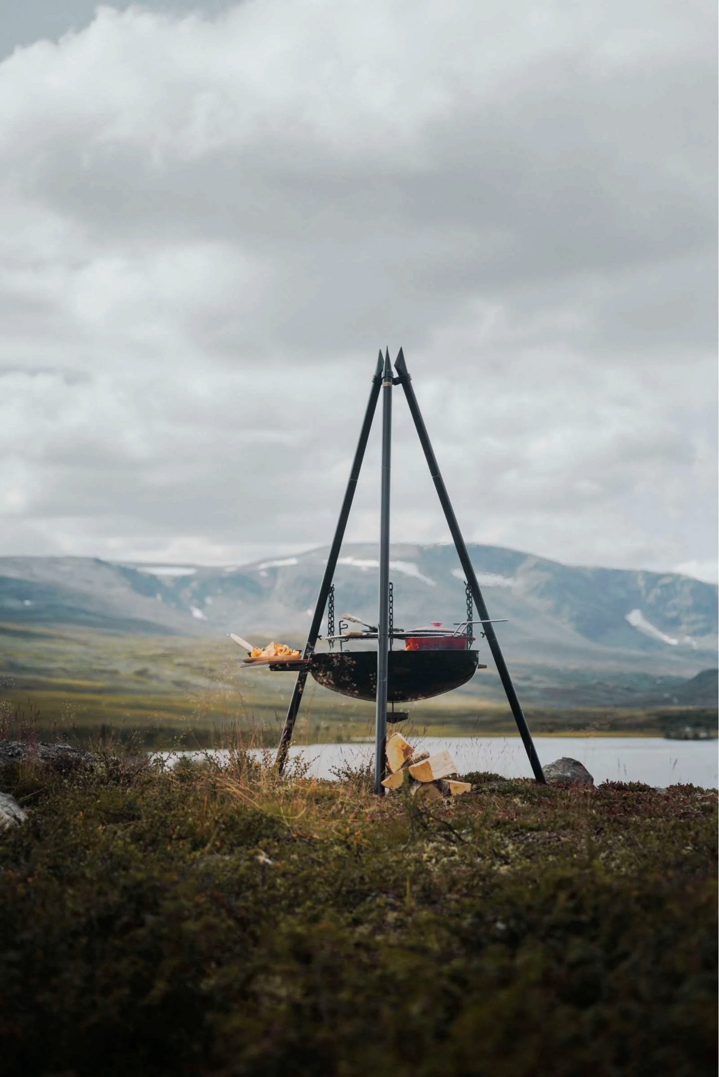 Tulipata Espegard Birkebeiner 70cm