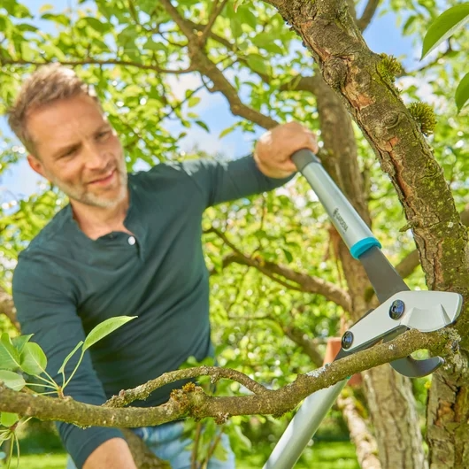 Raivaussakset Gardena EnergyCut Basic 12021