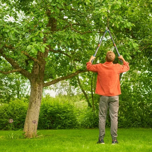 Raivaussakset Gardena TeleCut pro L 12041