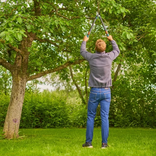 Raivaussakset Gardena TeleCut pro S 12040