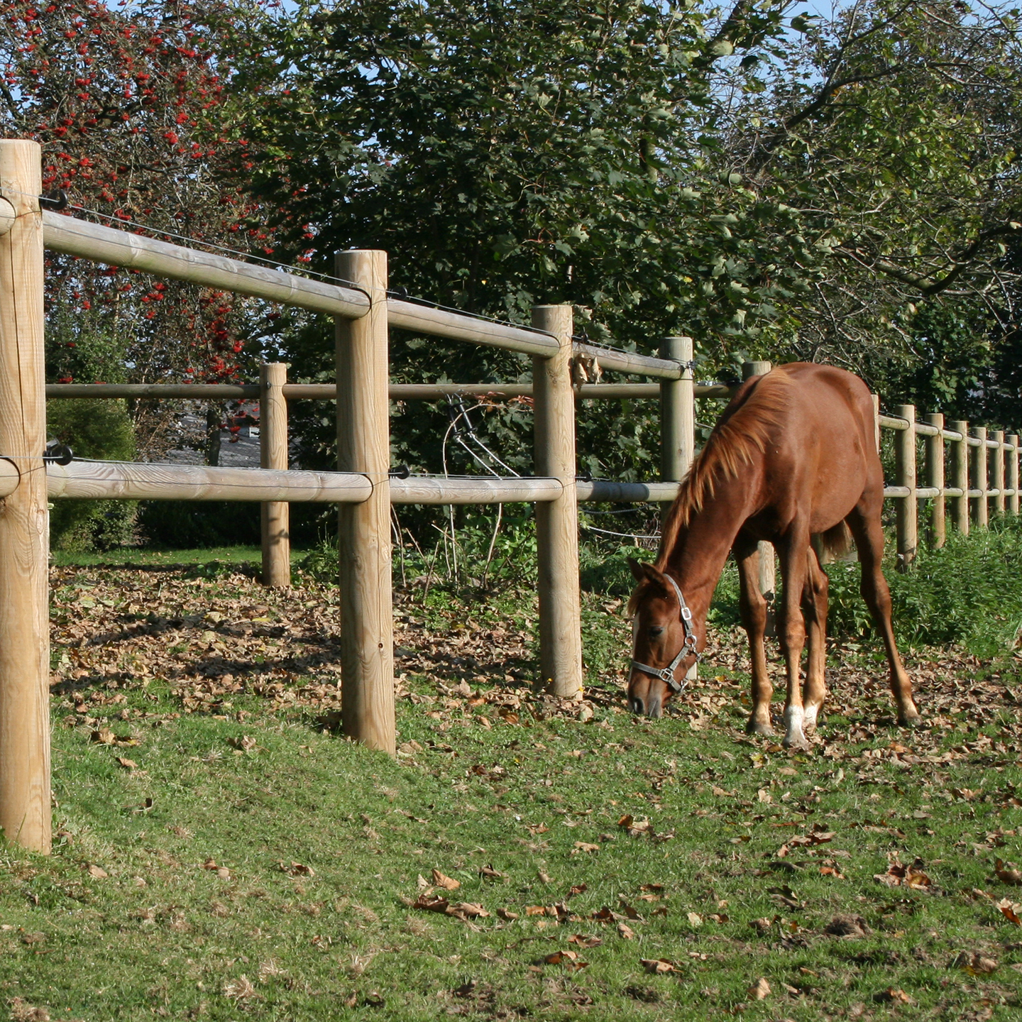 Hevosaitaus 40 metriä, painekyllästetty