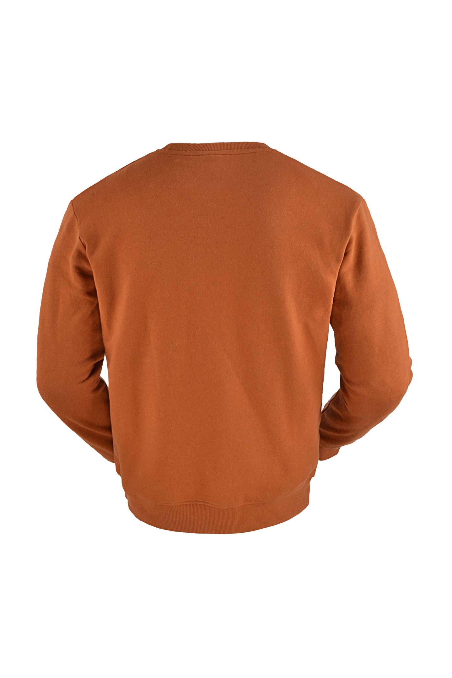 Collegepaita PROF ruskea