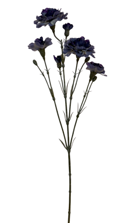 Neilikka  Bloom Deco oranssi/sininen