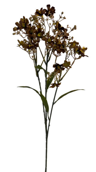 Lehtokukka Bloom Deco burgundi/ruskea