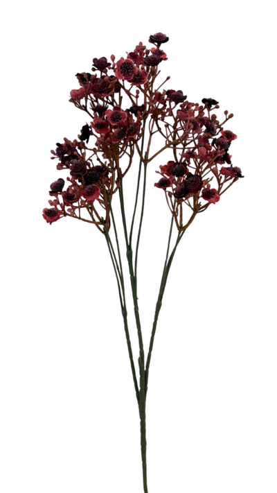 Harsokukka Bloom Deco burgundi/ruskea 