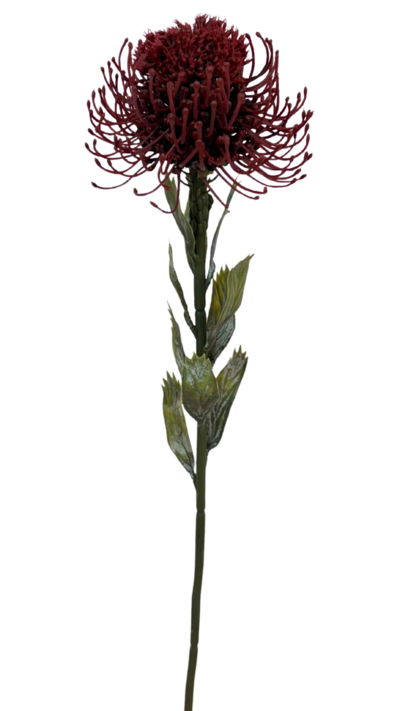 Protea Bloom Deco oranssi/burgundi