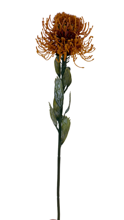 Protea Bloom Deco oranssi/burgundi