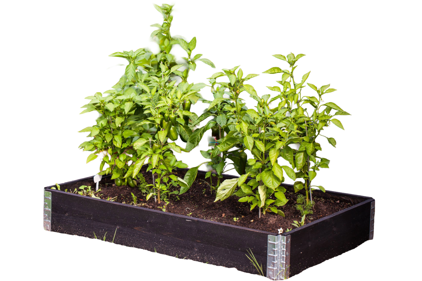 Lavakaulus Goodiy 120x80cm musta