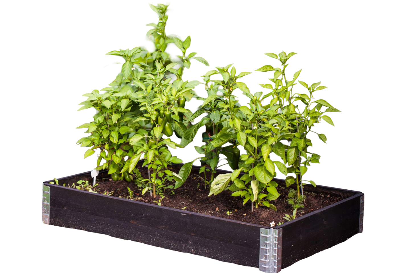 Lavakaulus Goodiy 120x80cm musta