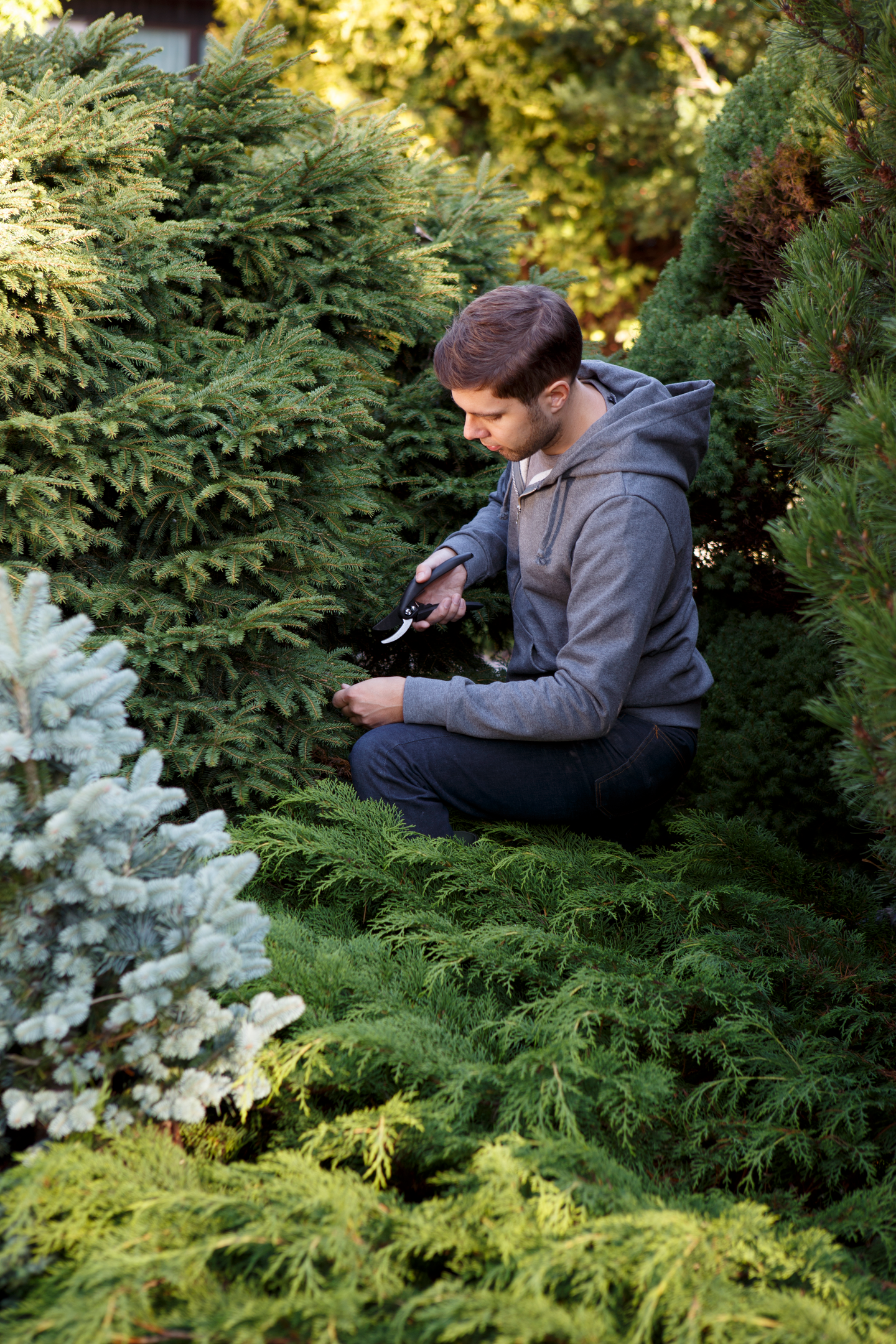 Havu- ja Rodolannoite Plus+ Kekkilä 3l