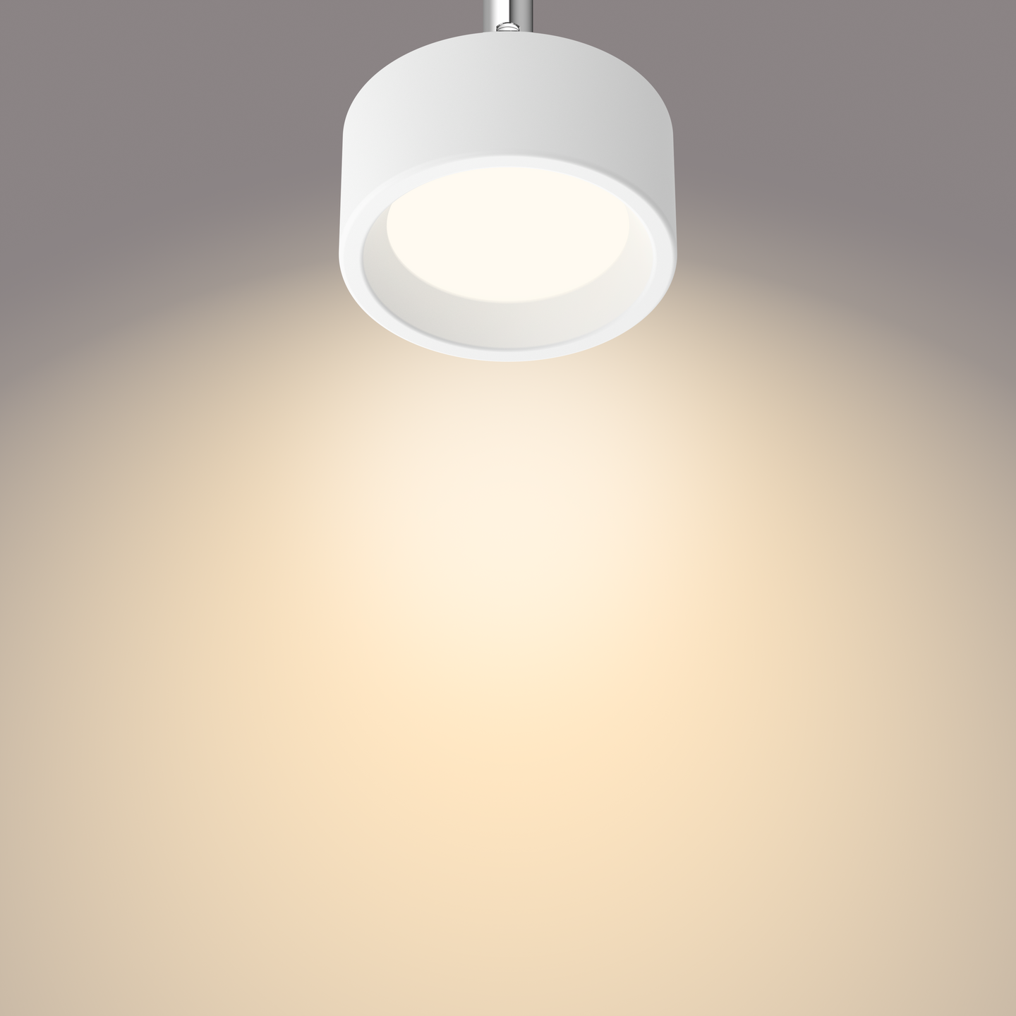 Kohdevalaisin Philips Bracia 1x5.5W HV 550lm 2700K valkoinen