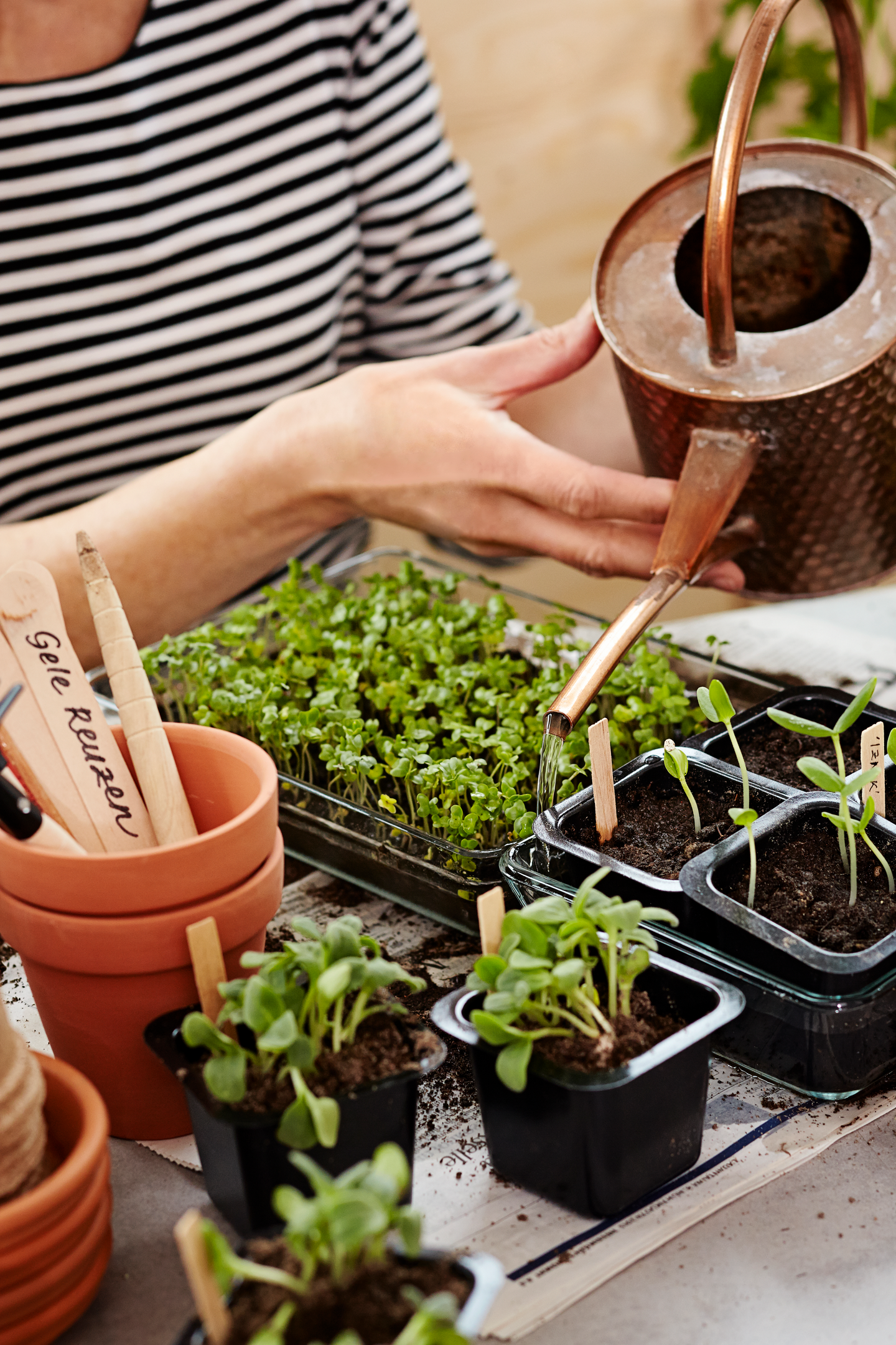 Taimilannoite Kekkilä 200g