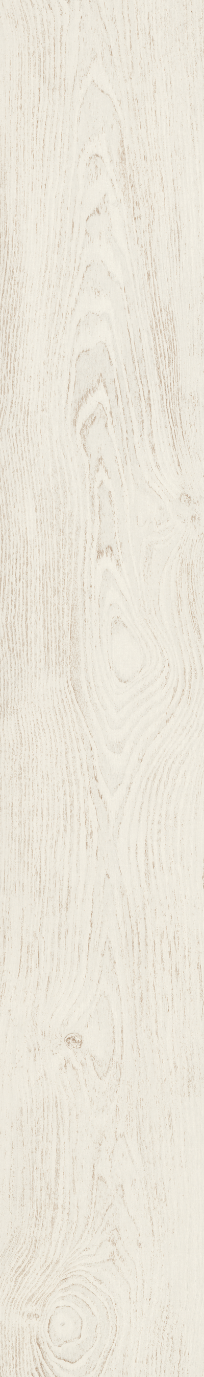Laminaatti Egger 8/33 Oak Varnished White H1006