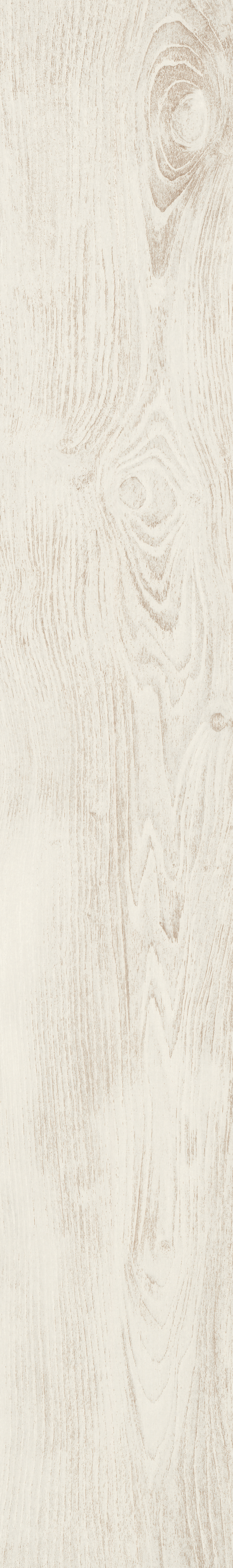 Laminaatti Egger 8/33 Oak Varnished White H1006