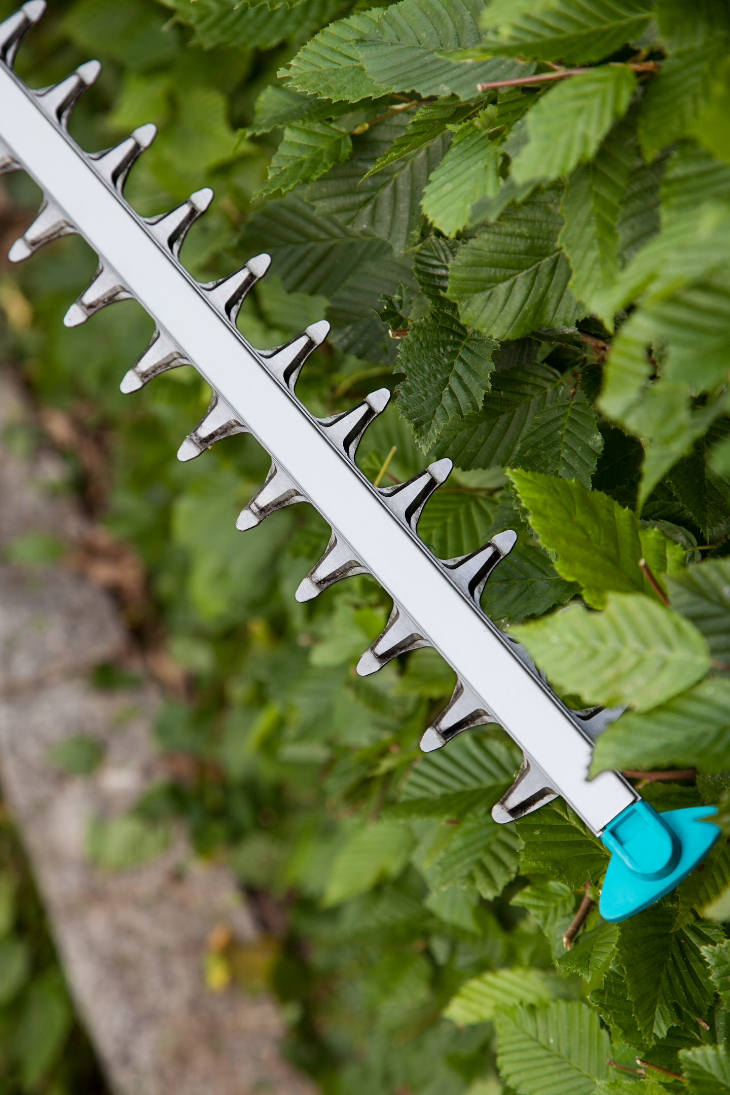 Sähköpensasleikkuri GARDENA comfortcut 600/55 9834-20