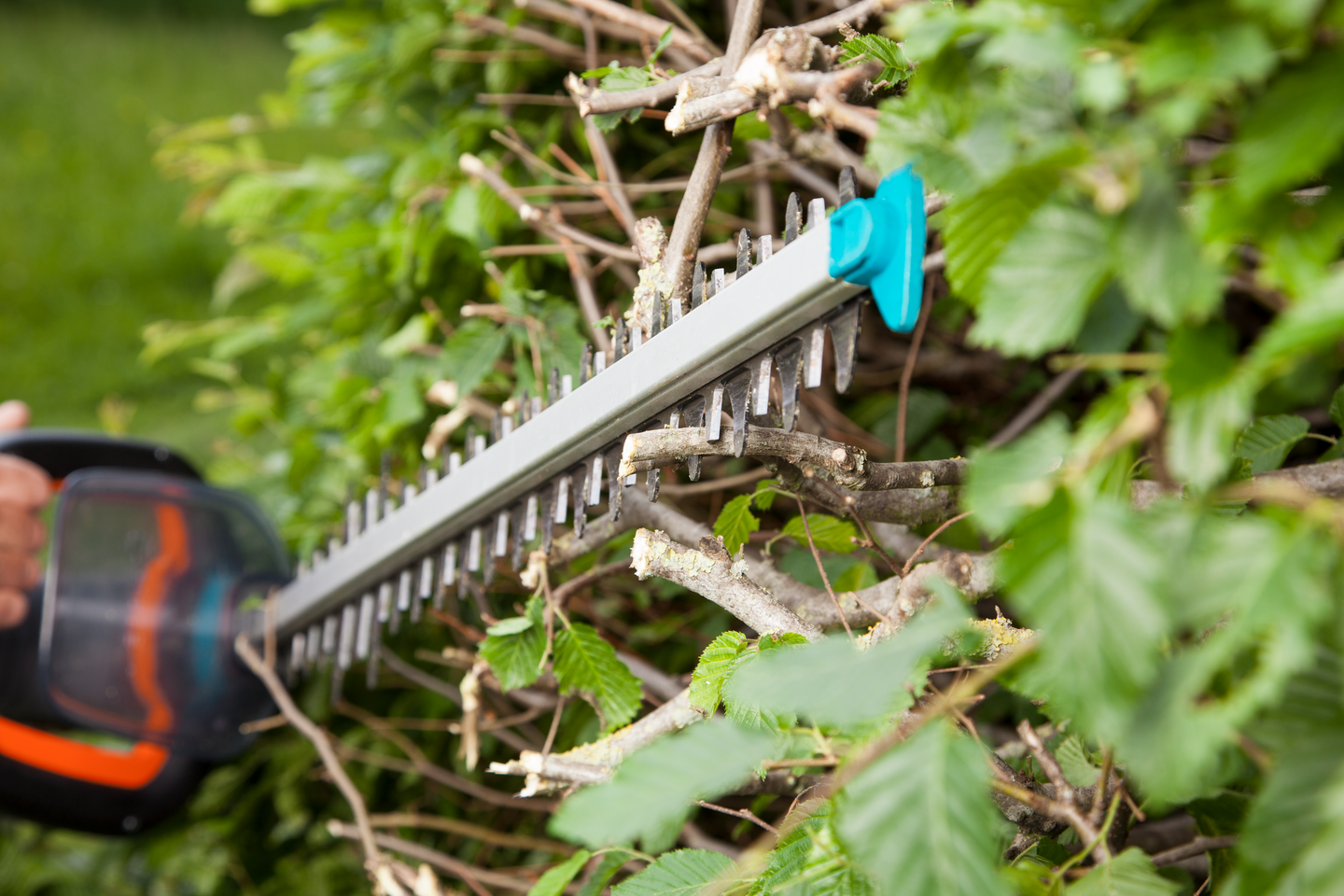 Sähköpensasleikkuri GARDENA powercut 700/66 9835-20