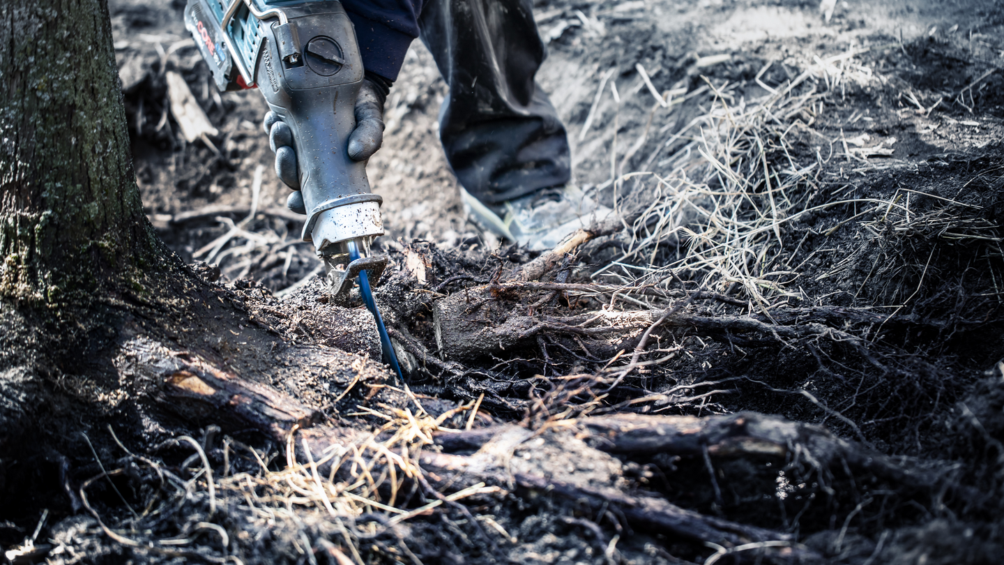 Puukkosahanterä Bosch EXPERT 'Tough Wood' S 1142 KHM, 10 kpl