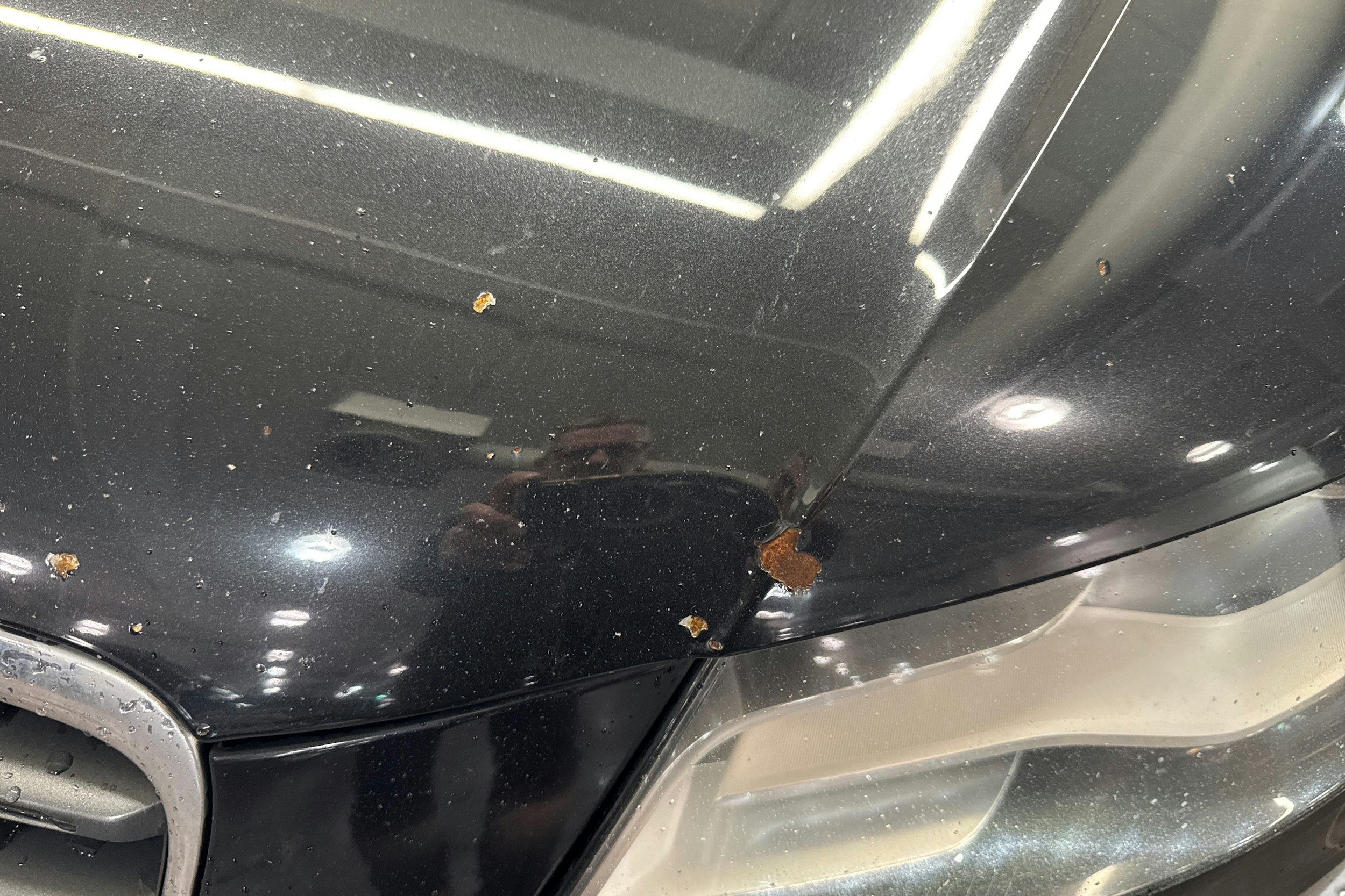 musta Audi A4 2010 kuva 19.