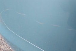 sininen Audi A6 2006 kuva 16.