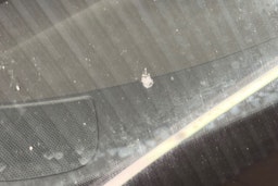 musta Audi A6 2016 kuva 14.