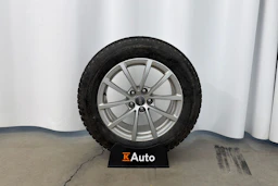 harmaa Audi A6 2023 kuva 11.