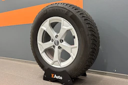 met. hopea Audi Q3 2022 kuva 10.