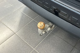 valkoinen Audi Q4 e-tron 2023 kuva 27.
