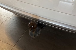 Valkoinen Audi Q5 2018 kuva 16.